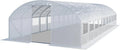 Serra da Giardino Professionale 4x10m con Telo PE 180g/m² Trasparente