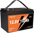 Batteria LiFePO4 12V 100Ah con BMS e Protezione Temperatura per Camper e Barche